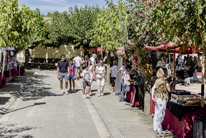 002 SG668XMfulledaFiraHeroica 8092