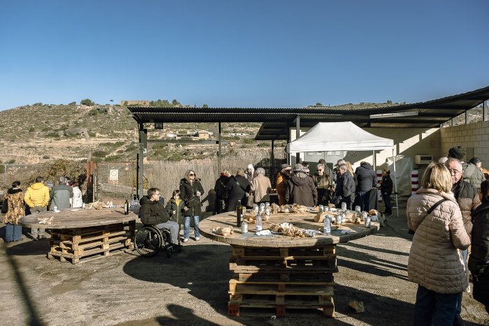 003 SG674XMsolerasFestaOliNou 5823