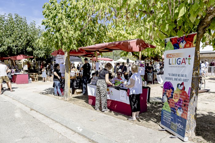 004 SG668XMfulledaFiraHeroica 8094