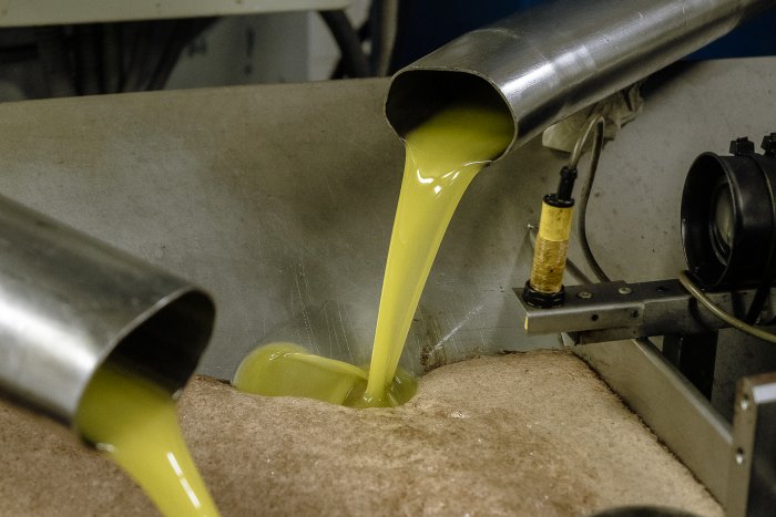 008 SG674XMsolerasFestaOliNou 5835