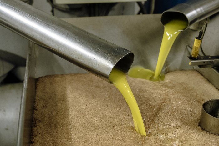 009 SG674XMsolerasFestaOliNou 5837