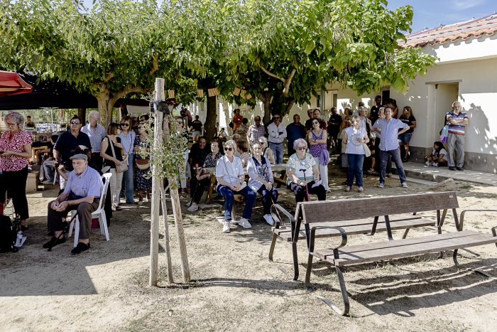 014 SG668XMfulledaFiraHeroica 8110