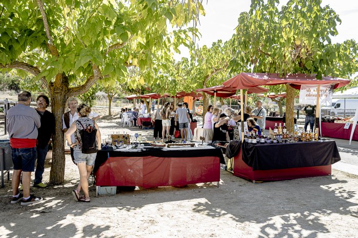 024 SG668XMfulledaFiraHeroica 8124