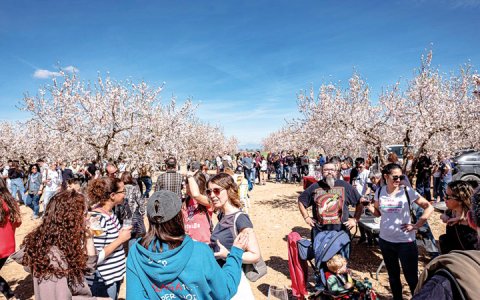 (foto: Xavi Minguella)