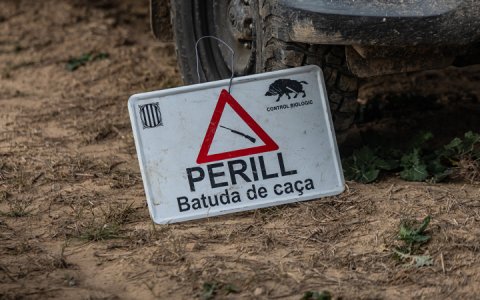 Una batuda recent al Bages (Foto: J.Borràs/ACN)