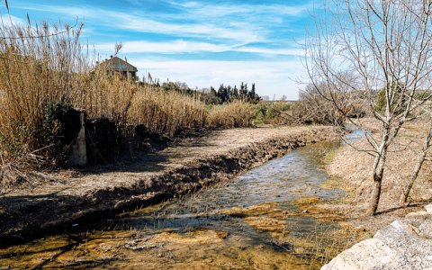 (foto: Xavi Minguella)