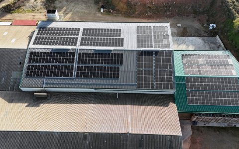 Plaques a la coberta de la nau de la fruita de la Cooperativa de Castelldans (Foto: Nufri)