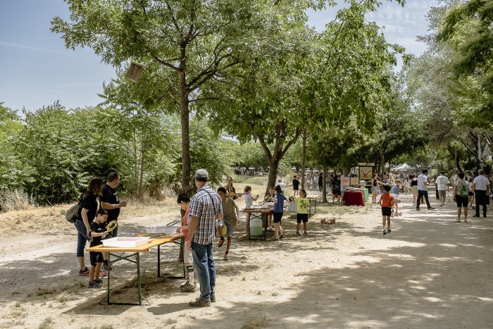 SG660XMjunedaConcursCassolesTros 5360