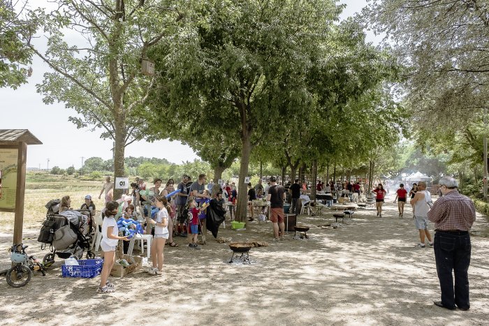 SG660XMjunedaConcursCassolesTros 5368