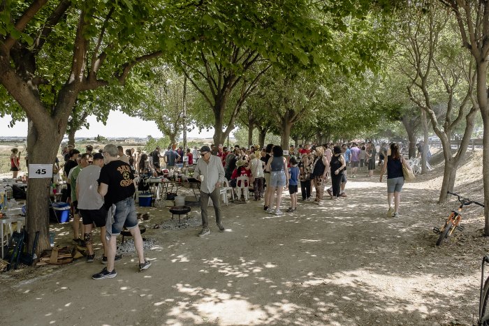 SG660XMjunedaConcursCassolesTros 5397