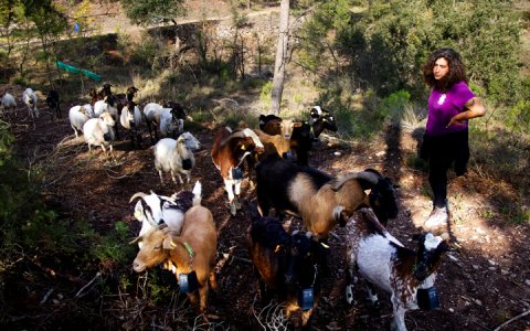 Foto: Albert González