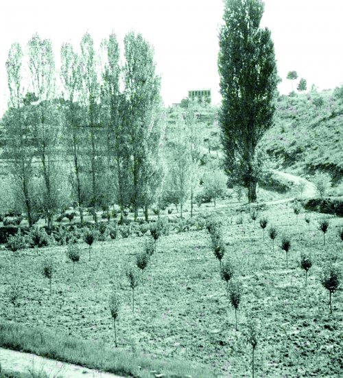 Foto: Arxiu Família Vendrell